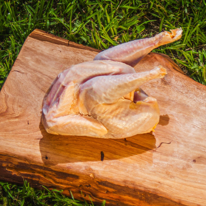 Pastured Stew Hen